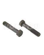 Bolt (01010-61680)