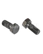 Bolt (01010-62045)