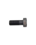 Bolt (01010-62255)