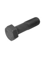 Bolt (01010-62485)