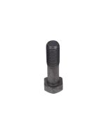 Bolt (01010-62490)