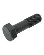 Bolt (01010-62795)