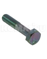 Bolt (01010-81050)