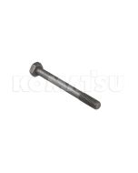 Bolt (01011-E1210)