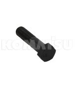 Bolt (01018-21665)