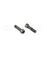 Bolt (01252-61450)