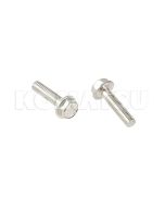 Bolt (01435-00625)