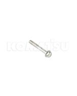Bolt (01435-00855)