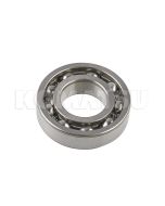 Ball Bearing (06000-06206)