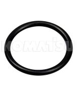 O-Ring (07000-12025)
