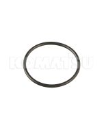 O-Ring (07000-13055)