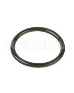 O-Ring (07000-15055)