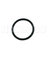 O-Ring (07000-E3038)