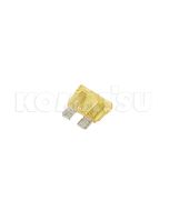 Fuse (08041-02000)