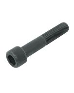 CAPSCREW M20X110 (000000000031932699)
