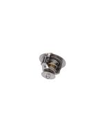 Thermostat (600-421-6110)