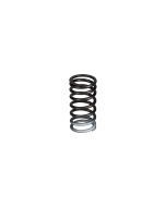 Valve Spring (6210-41-4430)