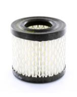 Crankcase Filter Accessory (AF250)