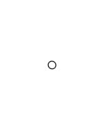 O RING (SV9812)